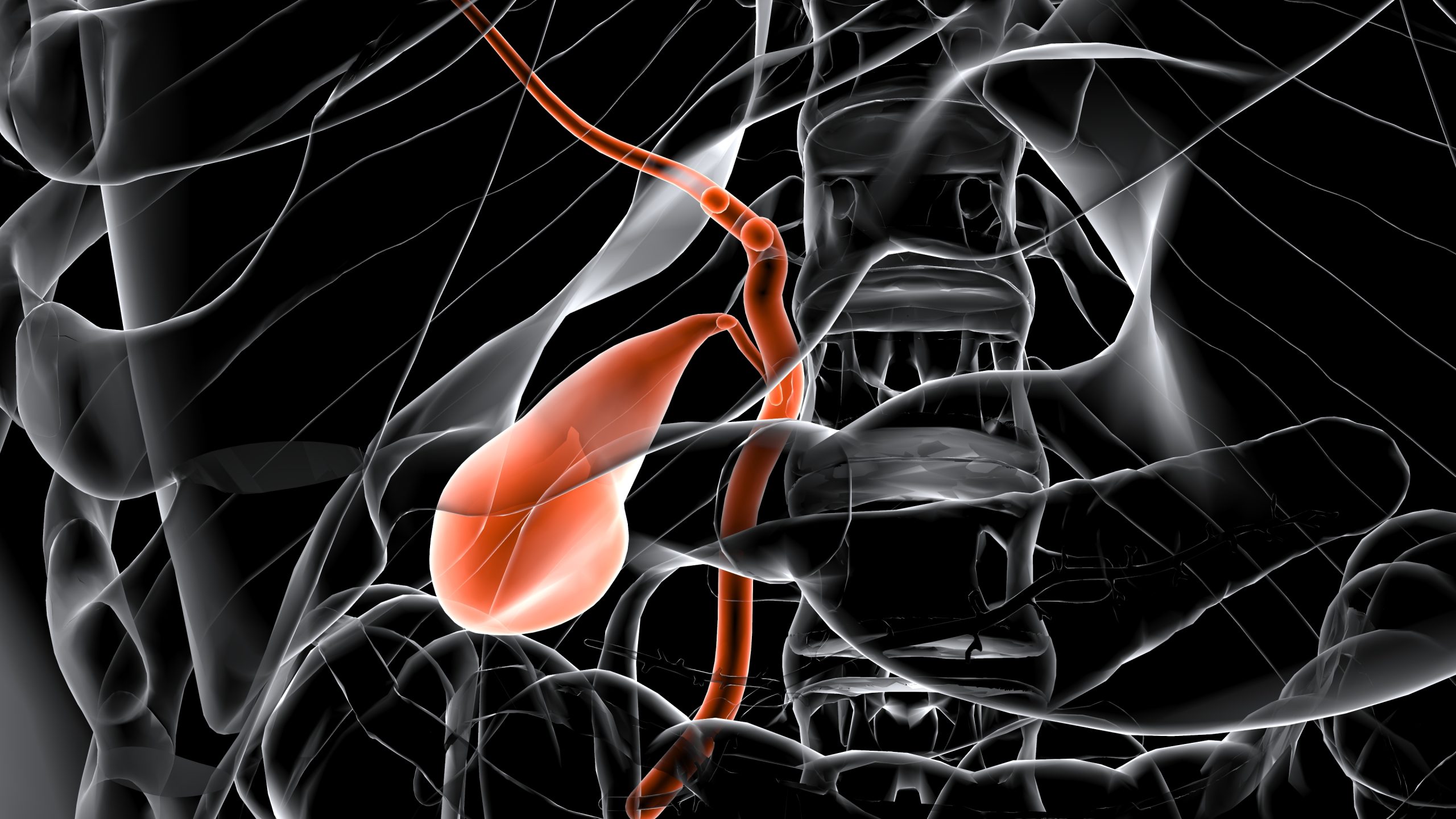Gallbladder Consultation